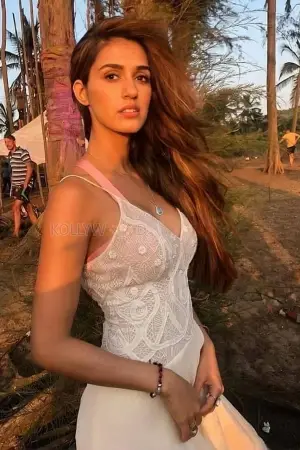 A picture of Sexy petite babe disha patani  hosted on DailyPanty.com published Tuesday March 31st